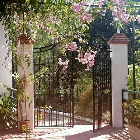 Santa Matilde Málaga